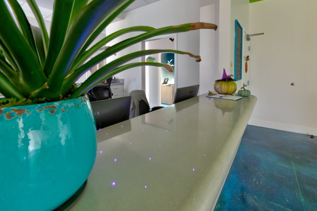 A modern kitchen counter with a turquoise plant pot and sleek decor.