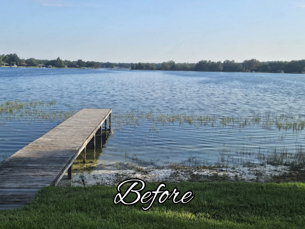 Wooden dock